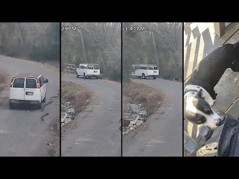 Video: Man leaves dog near bayou in SE Houston