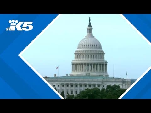 Senate "vote-a-thon" happens today