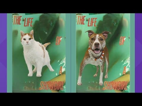 Young-Williams Animal Shelter celebrates Taylor Swift's new album