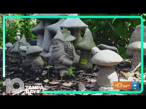 Make magic at Mossy Hollow Market