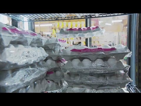 Smuggling eggs into the US? Think twice or face fines