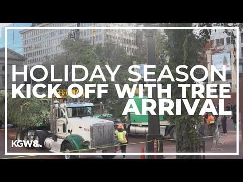 Portland’s Christmas tree arrives in Pioneer Courthouse Square