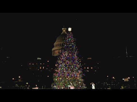 National Christmas Tree finally upright after wind knocks it over