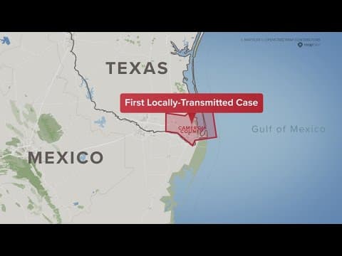 Texas reports first locally transmitted case of Dengue virus