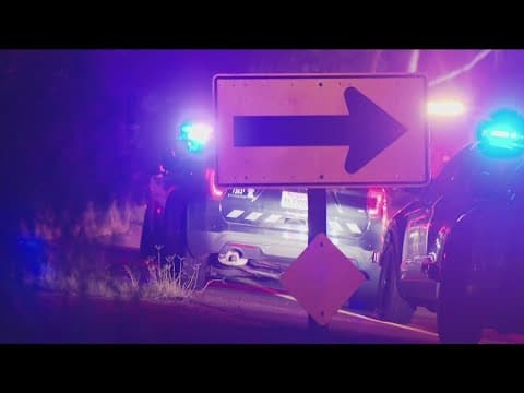 Two children dead, driver in custody after police pursuit ends in fiery crash