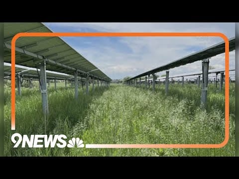 Solar panels may help with grassland growth