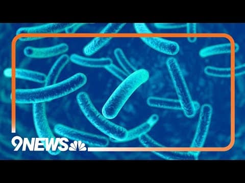 Health expert discusses the increase in ‘nightmare bacteria’ infections