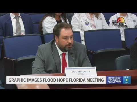 Hope Florida online board meeting hijacked by racial slurs, offensive pictures and videos