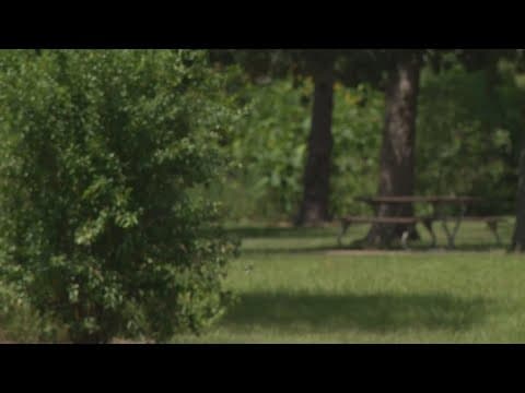 Arrest made following attacks on women at northwest Houston park