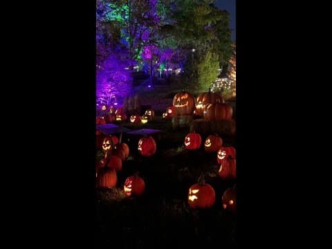 'Pumpkins Aglow' exhibit returns to Franklin Park Conservatory
