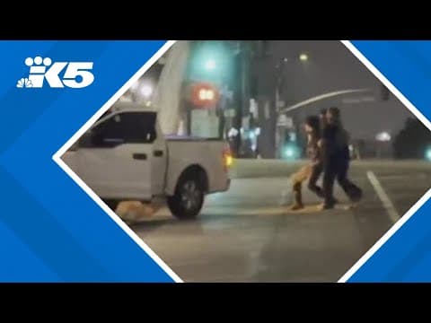 BREAKING: Protesters arrested in downtown Los Angeles