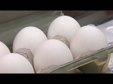 Costco egg recall due to salmonella