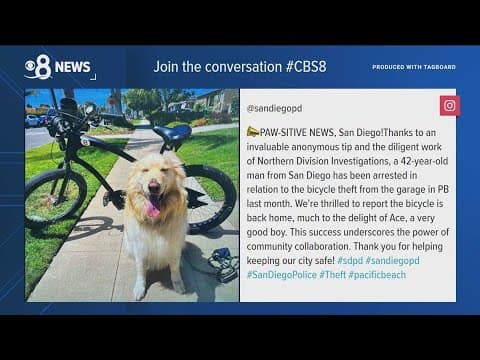 Stolen Pacific Beach bike home safe with golden retriever and his humans