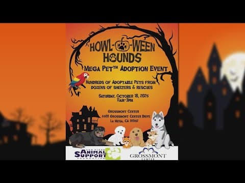 Annual Howl-O-Ween Hounds MEGA Pet Adoption event held in La Mesa