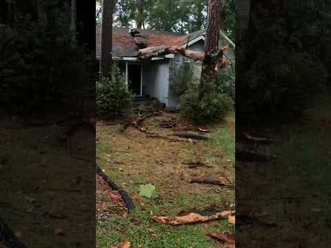 Severe weather causes a tree to collapse onto a home
