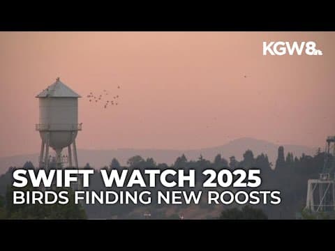 'It's like they all planned out a route': Swifts steer away from Chapman