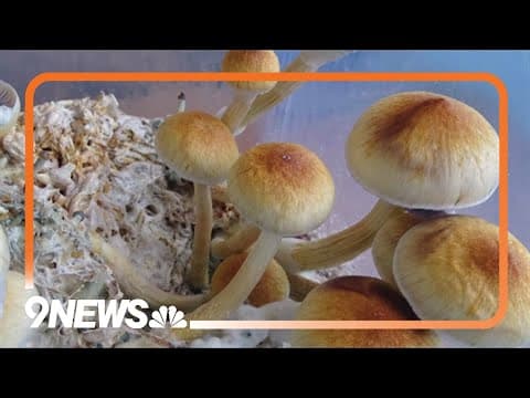 New CU-Denver research center to study psychedelics
