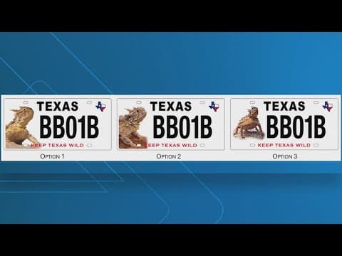 Vote coming soon on design of new horned lizard license plate