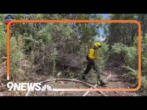 3 small 'suspicious' vegetation fires under control near South Parker Road