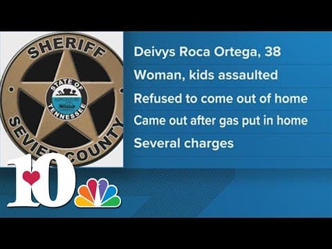 Man arrested after police standoff over domestic dispute