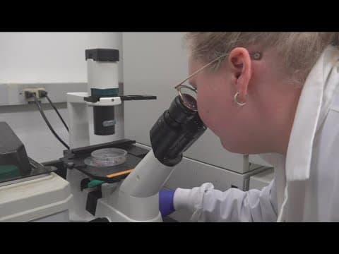 UC San Diego researchers resurrected old diabetes drug without the unwanted side effects