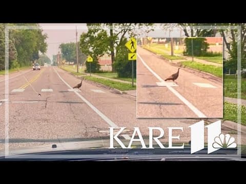 Your Good News: Jenell, Ava and David