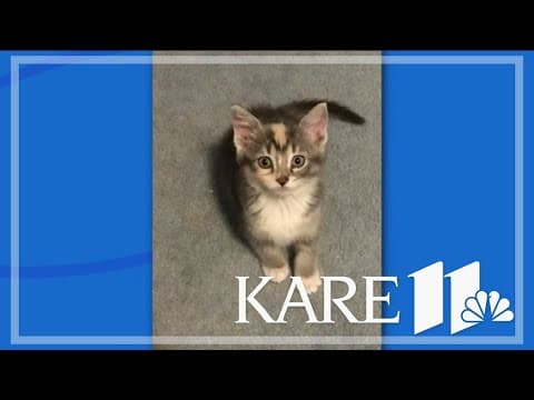 Your Good News: Roberta Haskin, Pat Hansen