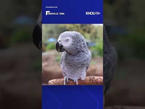 It's her 38th hatchday! 🥰