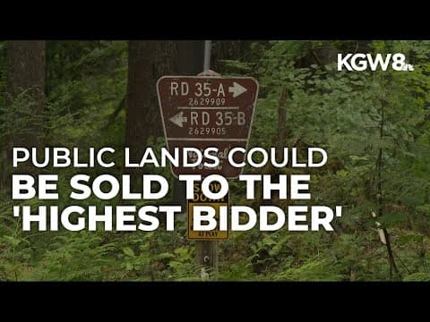 Lawmakers consider selling federal land across 11 states, including Mount Hood and Crater Lake