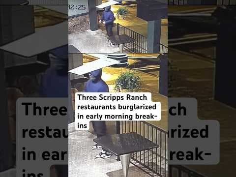 San Diego Police Department investigates series of break-ins at Scripps Ranch businesses