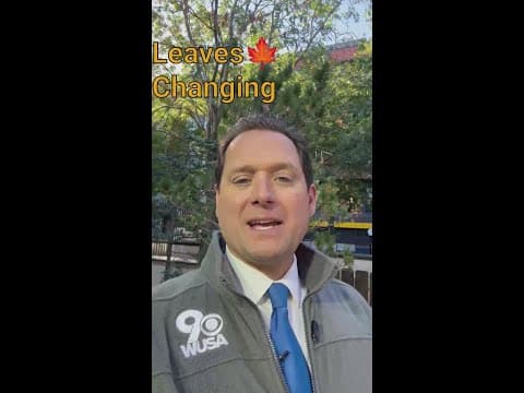 DMV fall foliage update