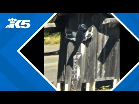 Quileute totem poles stolen from Forks
