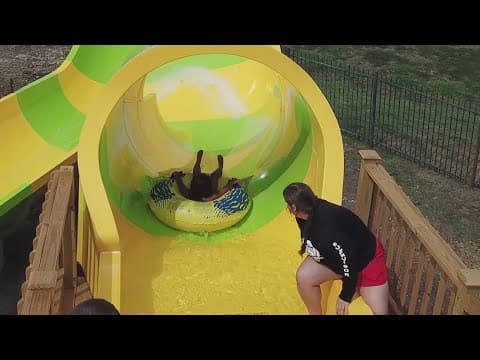 Beat the heat at Hawaiian Falls in DFW