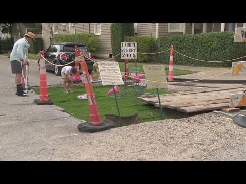 New Orleans Neighbors turn pothole into 'Laurel Street Zoo'