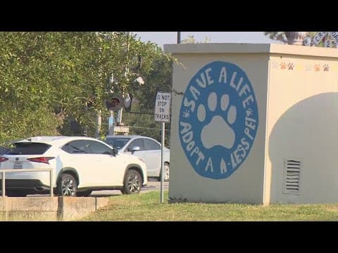 Sugar Land Animal Services may have to stop taking pets in due to overcrowding at shelter