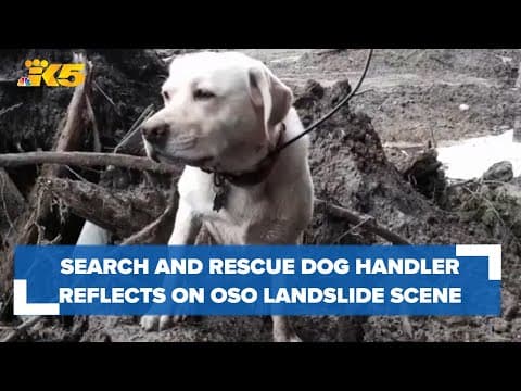 YouTube thumbnail for video opJojIplGZI