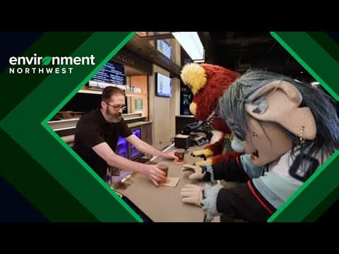 Climate Pledge Arena, other Seattle venues make small-but-mighty sustainability change