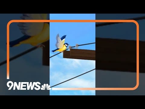 YouTube thumbnail for video outodqu83NY