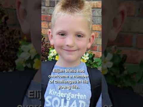 Mooresville boy turns on Zoo holiday lights