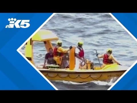 2 rescued after going overboard on cruise