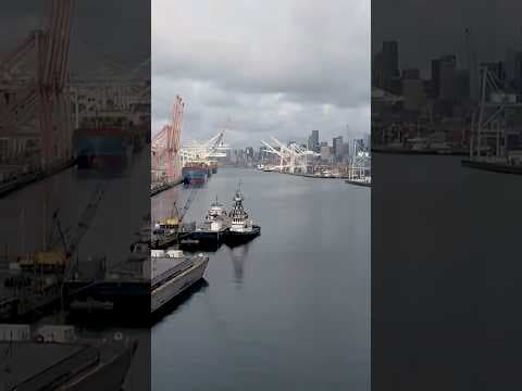 Imports plunge at Seattle, Tacoma ports as tariffs take toll