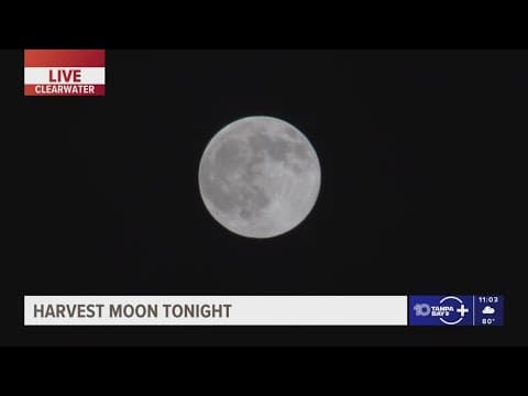 A look at Monday night's harvest supermoon over Tampa Bay