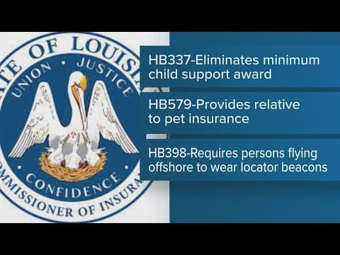 New Louisiana laws go into effect Jan. 1