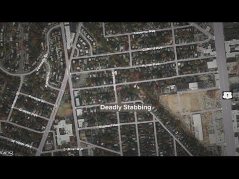 Man found stabbed to death in Alexandria