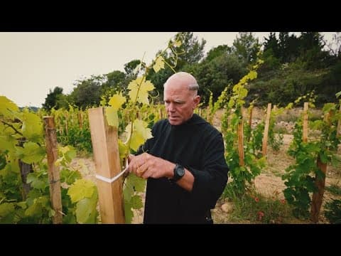 Wine is more than a drink in France | Journey to Paris