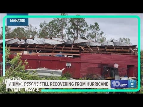 Local animal rescue still recovering from Hurricane Idalia