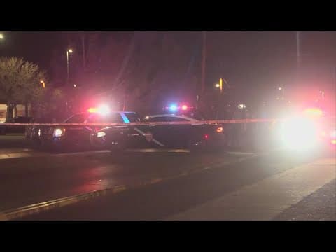 Three killed, 15 injured in a shooting at a park in New Mexico