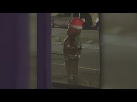 'This was not holly jolly' | A search for answers after a Gingerbread Man is spotted across Arlingto