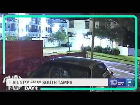 Concern in South Tampa escalates after mail thieves make their rounds