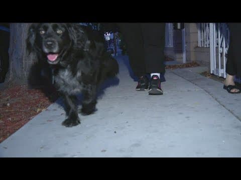 YouTube thumbnail for video pLPgZGOy4Uk